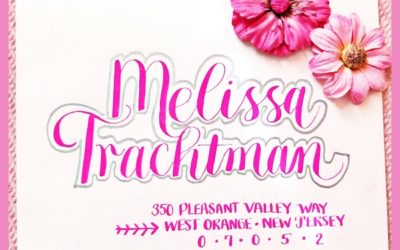 Fun New Calligraphy Fonts